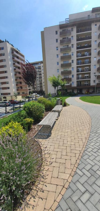 Apartment Alios Lux บราชอฟ ภายนอก รูปภาพ