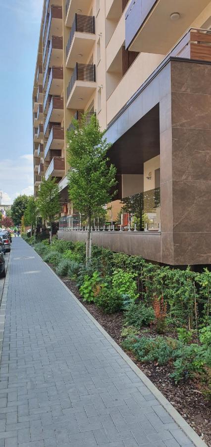 Apartment Alios Lux บราชอฟ ภายนอก รูปภาพ